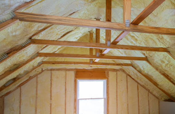 Best Geographic-Specific Insulation Services in Lukachukai, AZ