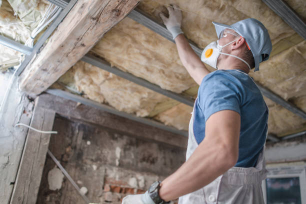 Best Cellulose Insulation in Lukachukai, AZ