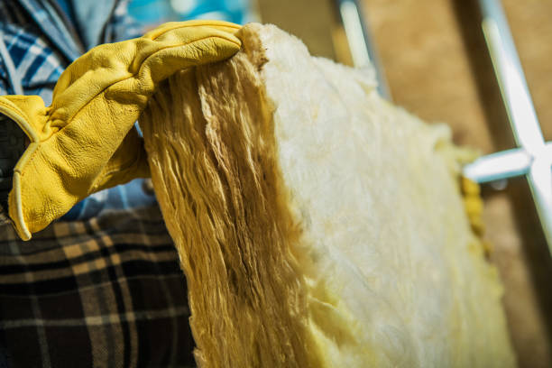 Best Spray Foam Insulation in Lukachukai, AZ