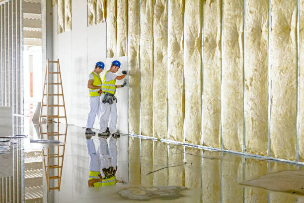 Best Residential Insulation in Lukachukai, AZ